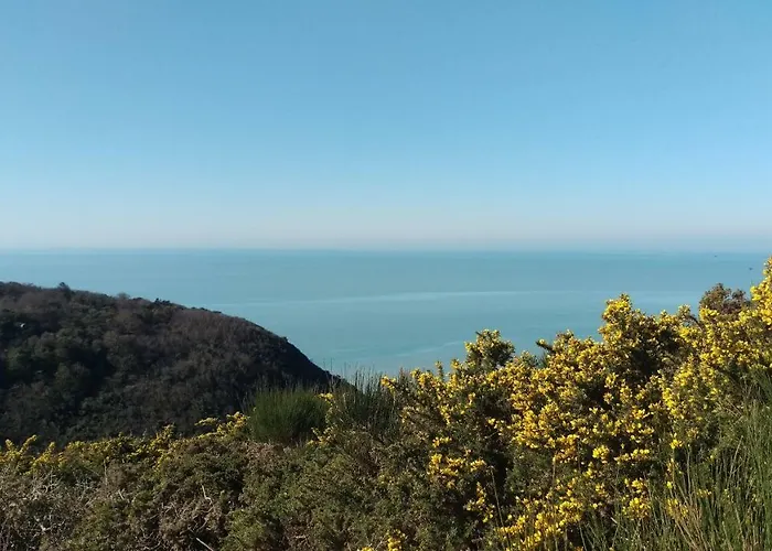 Apartman Les Madeleines *