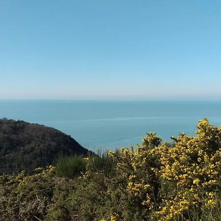 アパート Les Madeleines *